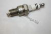 VW 101000034AA Spark Plug